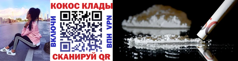 Cocaine FishScale  цены наркотик  ОМГ ОМГ tor  Елизово 