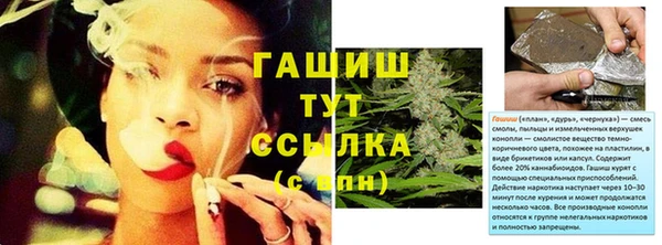 spice Верея